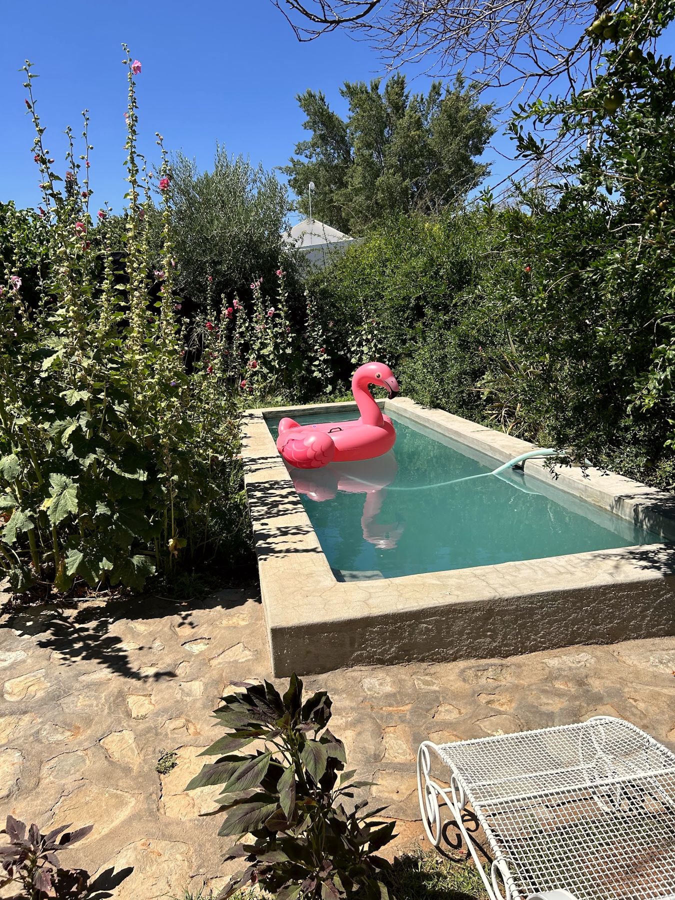 The plunge pool
